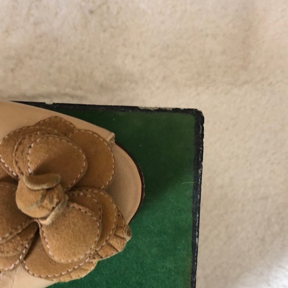 Arturo ChIANG heel - Picture 5 of 5